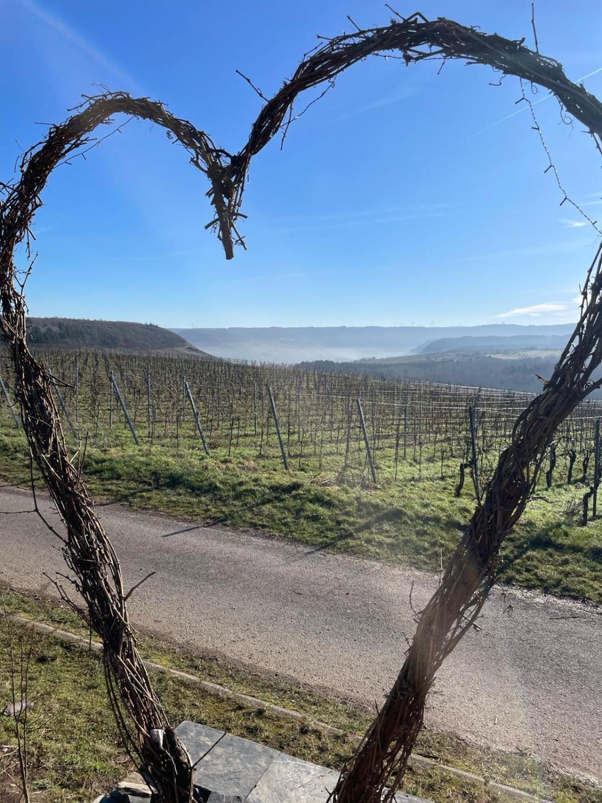 Neue Mit Schlossblick - Urlaub Im Wein- Und Ferienort Apartment