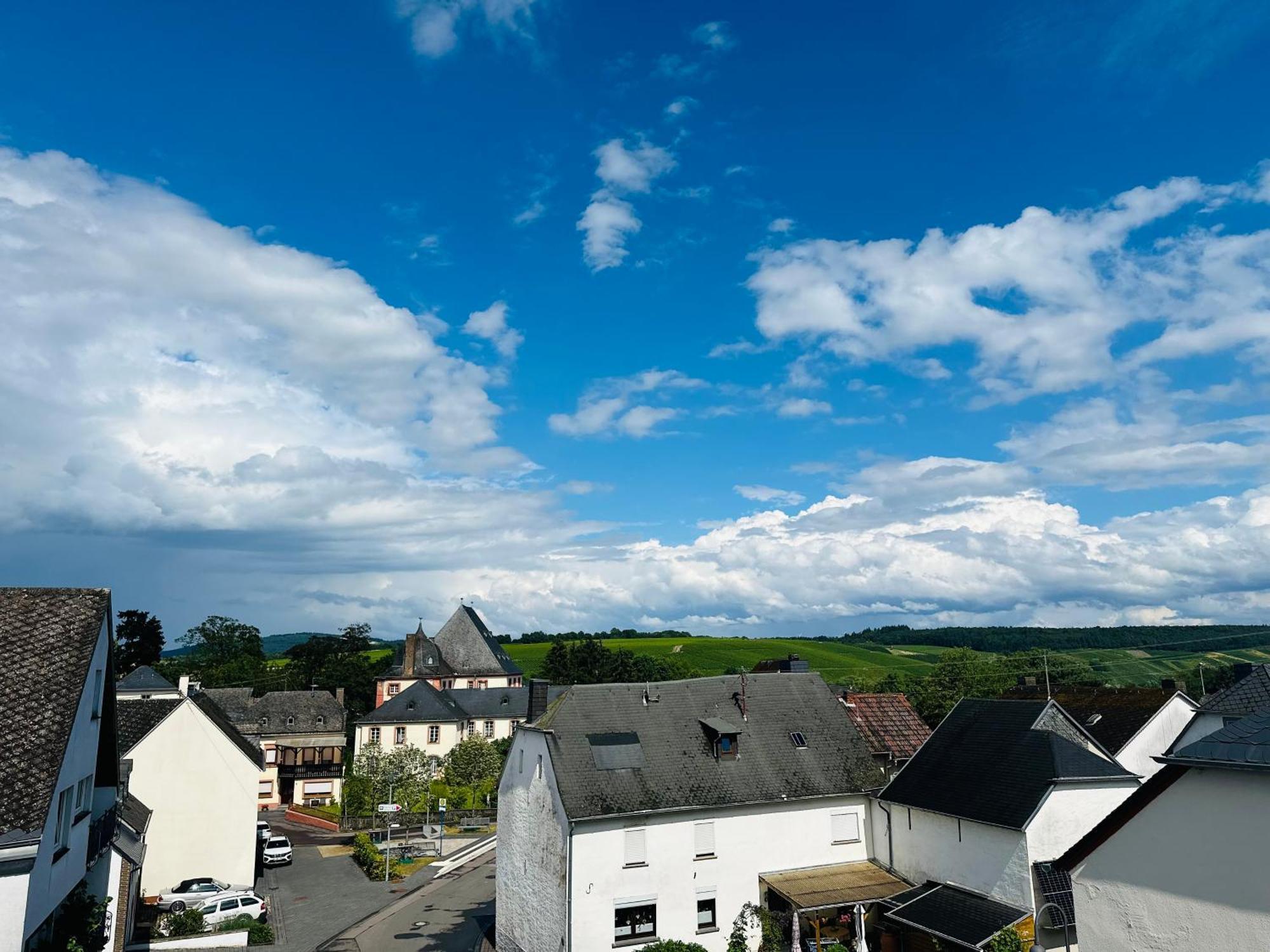 Neue Mit Schlossblick - Urlaub Im Wein- Und Ferienort Apartment Bekond